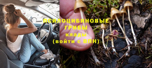 прущие грибы Балахна