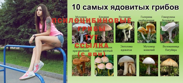 крисы Арсеньев