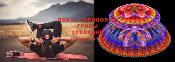 прущие грибы Балахна