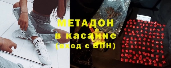 прущие грибы Балахна